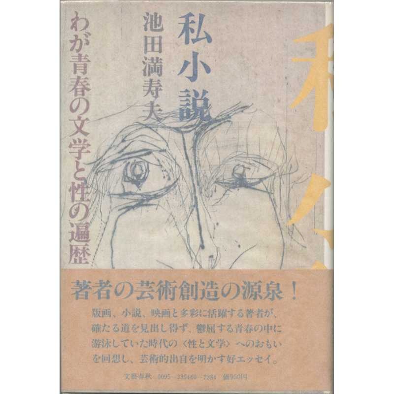 絵本通俗三国志　全12巻セット 絵本通俗三国志 全12巻揃(湖南文山 落合清彦 葛飾載斗) / 古本